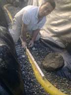 Carrowmore  10320.jpg